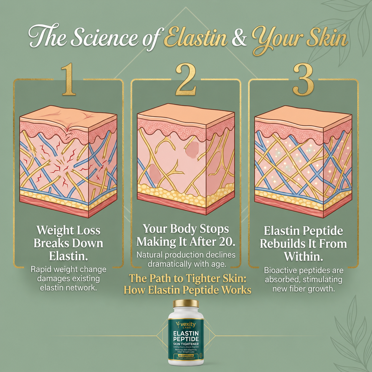 Elastin Peptide Skin Tightening Formula